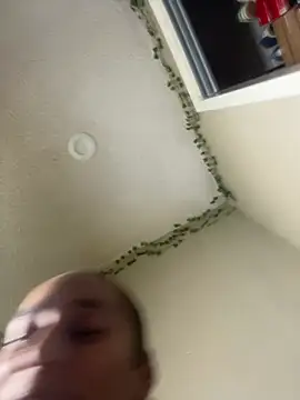 Shuggabutt - 💦💦💦