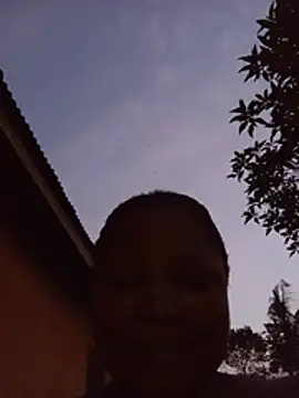 Christmaco