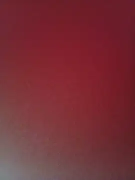 Saina_61 - New Shree