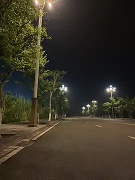 Xingchen-002 - 惊喜⋯⋯