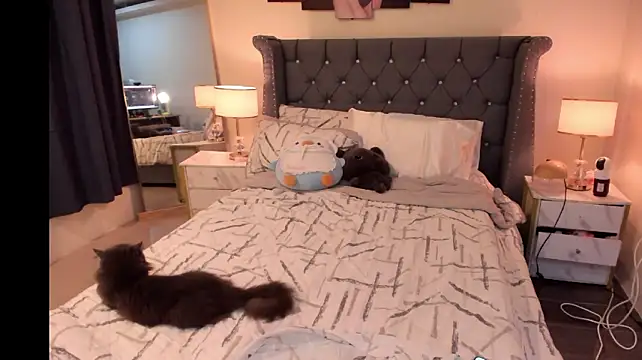 Mysteriouscat25 - stripdance finger didlo pussy till cum