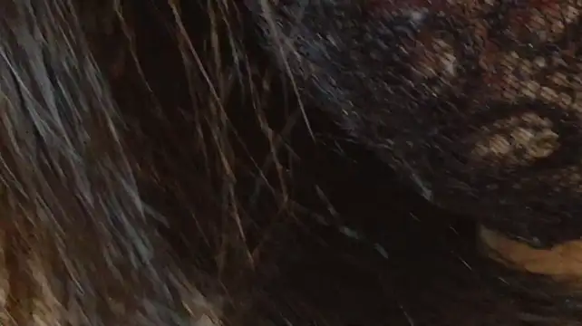 AngelsBoobsxx