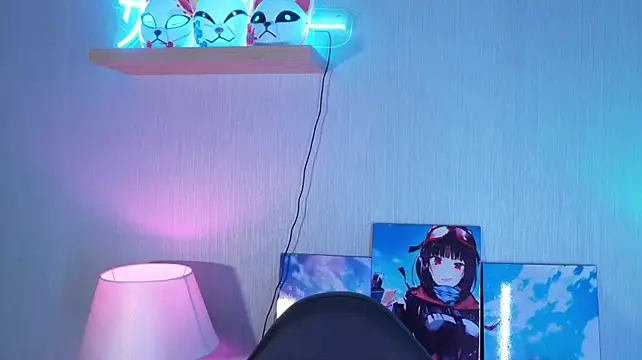 Kitticam