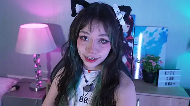 Kitticam