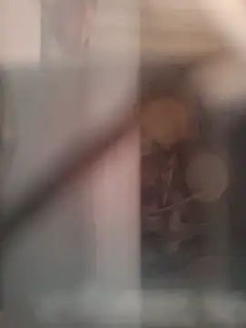 Ary-18 - doggy + 2 finger in ass