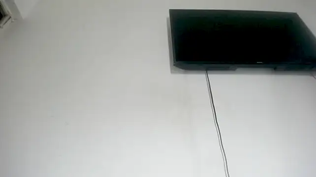 Fox_Loves