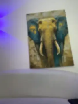 Karim_Nabil - show pussy