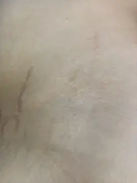 Tayler_Kim
