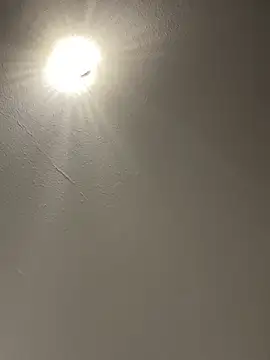 Bellefleurrr - last tipper wins my fuck dildo video