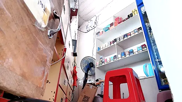 Xixi-65
