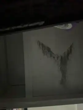 Lilith_Vera - FLASH PUSSY + SPANKS 👽