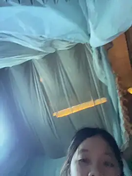 Catcum1