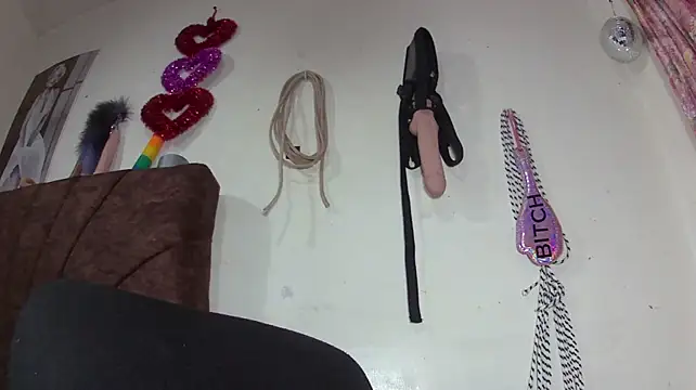 AshleyReyesvip