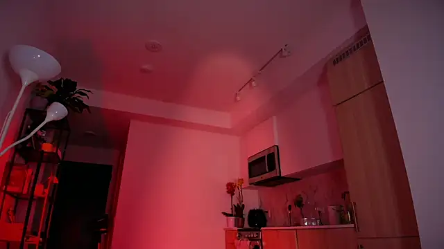 RitaNorth_star