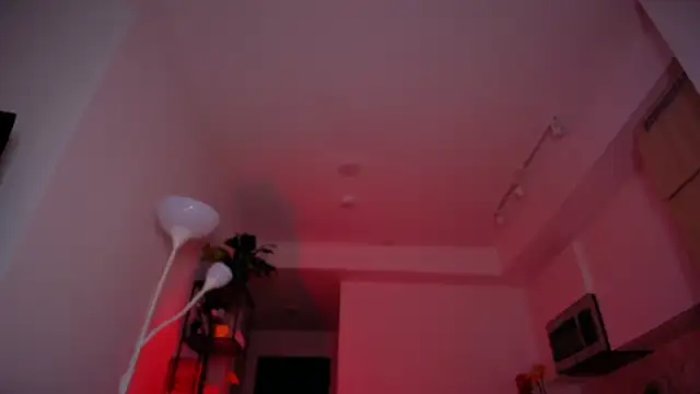 RitaNorth_star