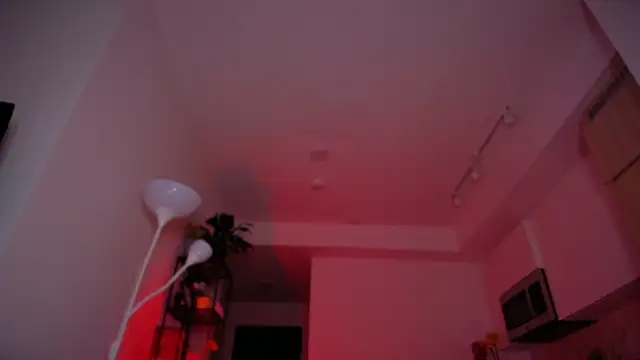 RitaNorth_star - if you want me to cum
