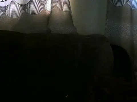 Ebonybb - Dildo in pussy until I cum