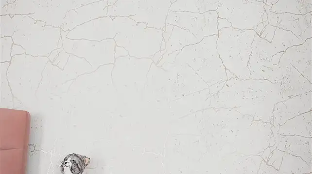 BambiRoses - Make me horny- masturbating on panties