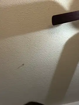 Evemeqt - NEW 9 INCH DILDO CUM SHOW💦