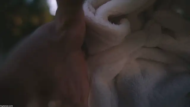 HeyBananas