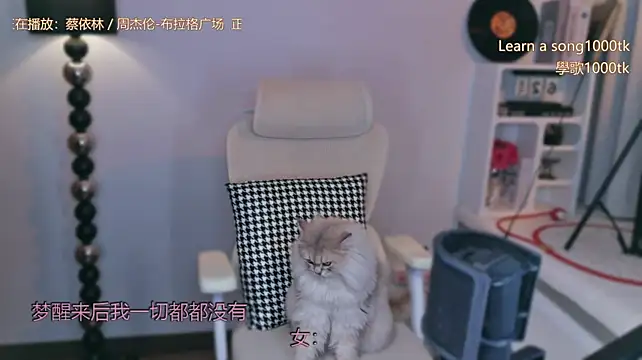 Babykitty- - 我这么好相处的人 和我处不好的人自己找原因