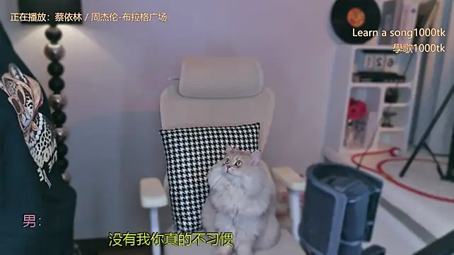 Babykitty- - 我这么好相处的人 和我处不好的人自己找原因