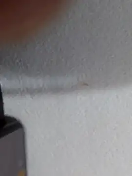 Casal2810 - Criar primeiros seguidores assistindo