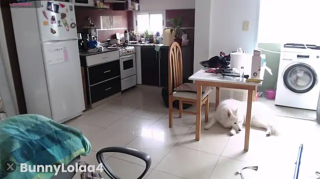 Bunnylolaa4 - Suck my dildo 🍆
