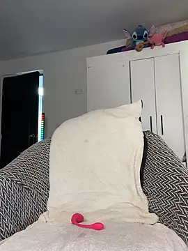 Samispank
