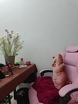 MiuMiu-Love68 - Mong bụt thương Miu mỗi ngày