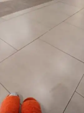 Sweethoneypot25 - Flash shaved fat pussy n the mall 😋 🫣