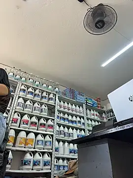 ISABELLA__LUNA - No thongs or bras in the store
