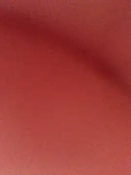Scorpbaby - Auto para la uni