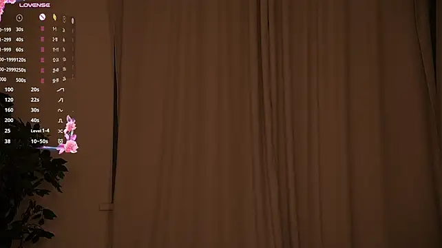NidaSween - toples