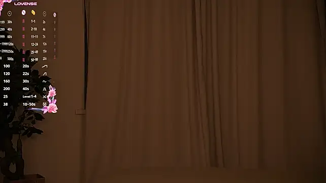 NidaSween - toples