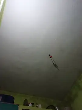Sanya1_sexy - Full pusssy show 🥰