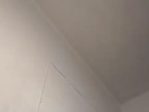 Eboni_hotboobs_ - anal