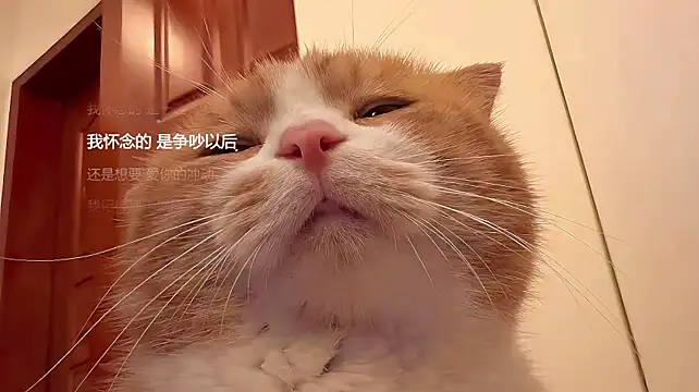 N_a_na - 王者峡谷等我