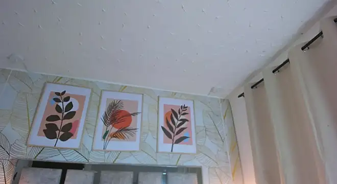 Ariadna_bianchi