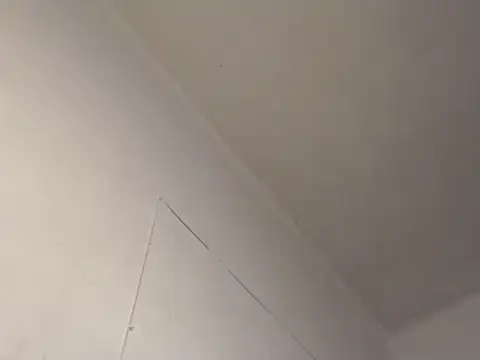 Eboni_hotboobs_ - anal