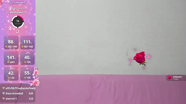 Misoca - ♡₊˚ 💗 Spoil your bunny 💗 ˚₊♡