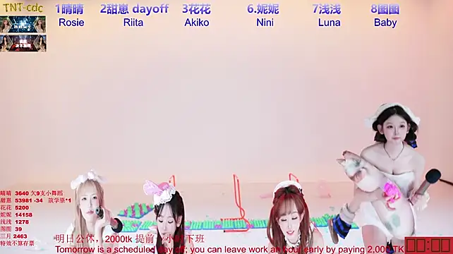 TNT-cdc - 满负重走三关！！！