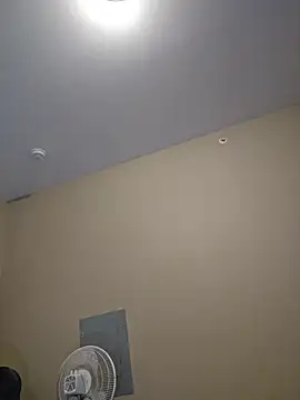 AmethystFoxx