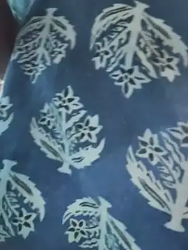 Preethi_telugu66