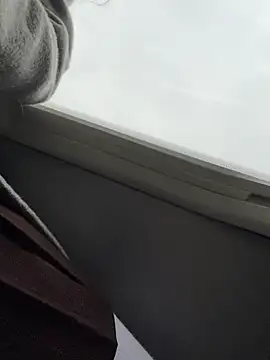 -stray-cat- - rub pussy trough the panties