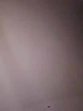 Cachonda69- - Masturbacion con vibrador y dildo...😈😈