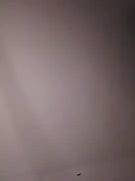 Cachonda69- - Masturbacion con vibrador y dildo...😈😈