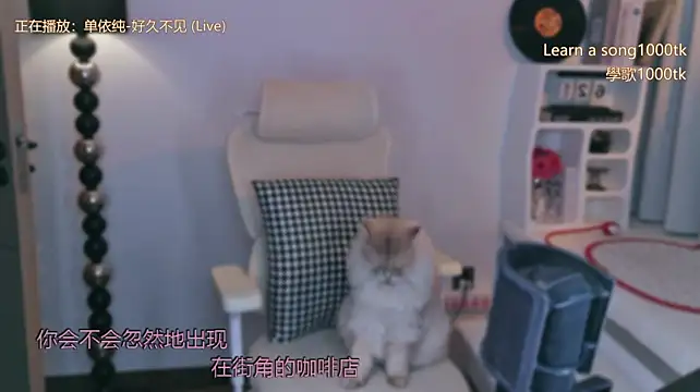 Babykitty- - 有些人一旦错过了 真的谢天谢地