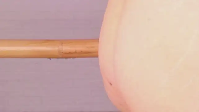 Lylylovesyou - oil pussy zoom
