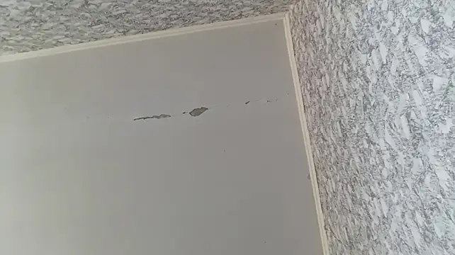 Agent67 - sexy tits show 🥵